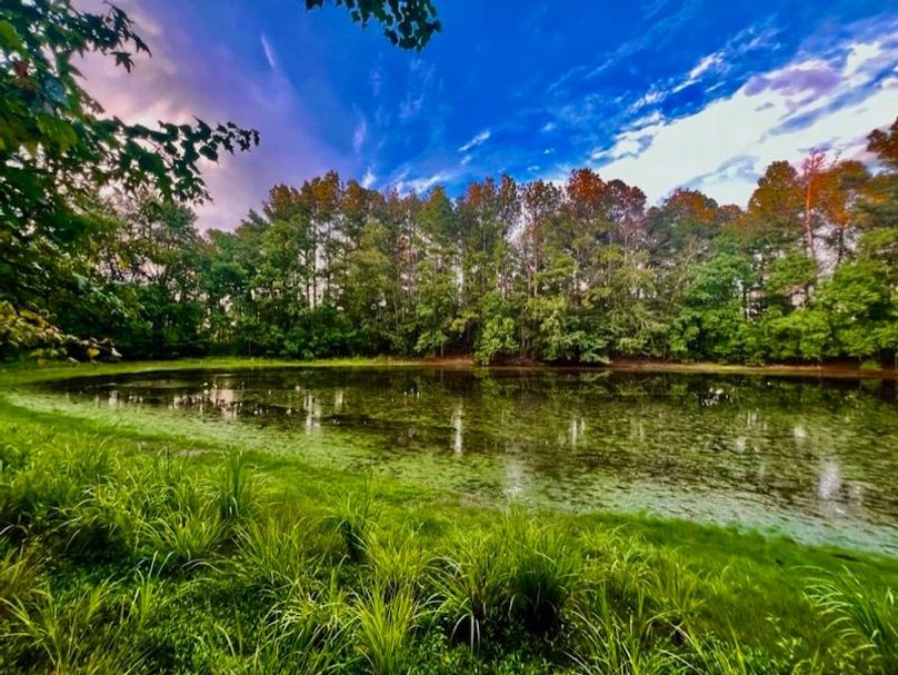 08D6F678-6E62-4459-9294-0189DD59D6F3_1_105_c