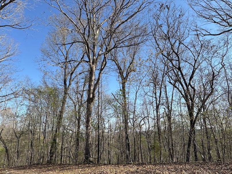 DJI_20260326_100408_415