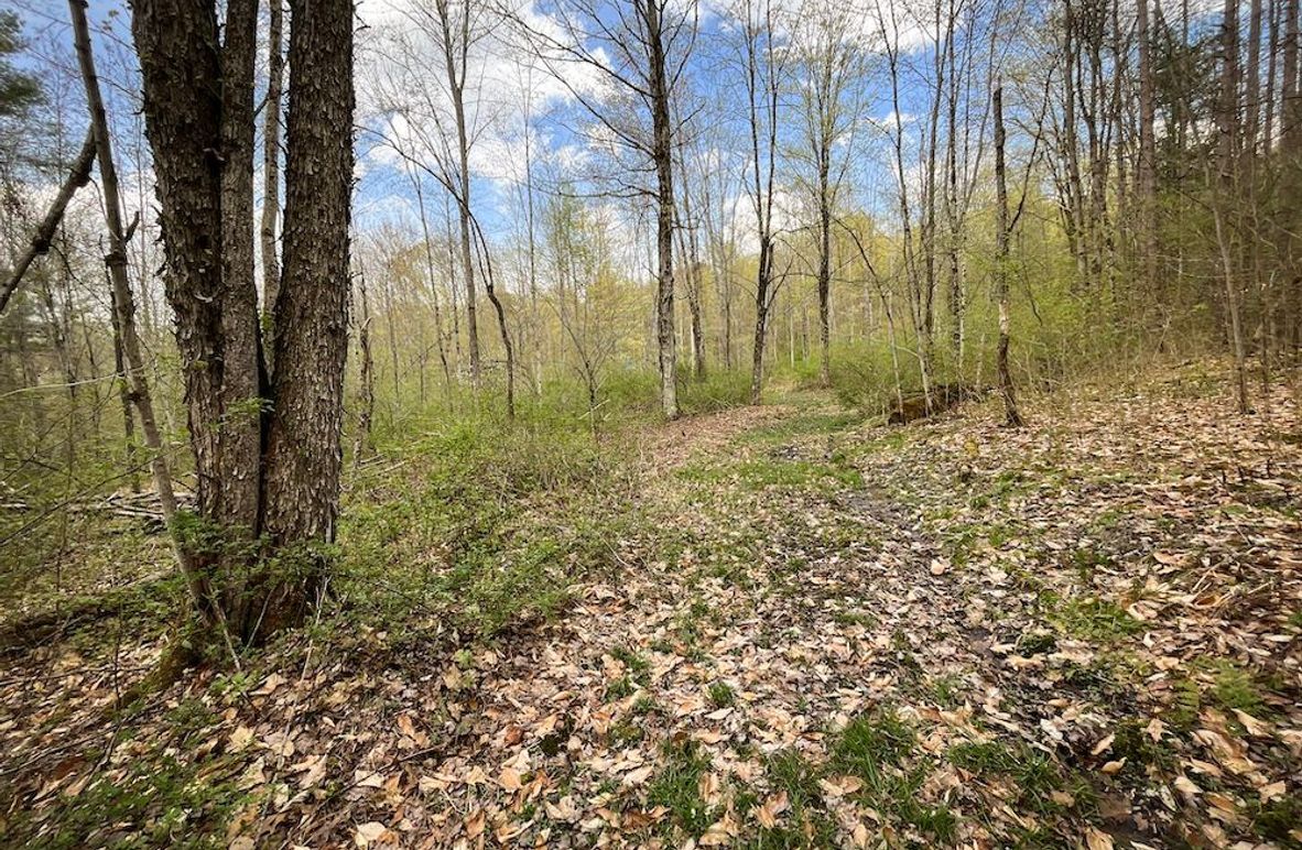 Tioga_76.65_Matyjas_Photos_5