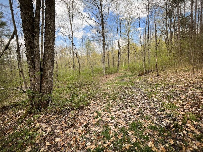 Tioga_76.65_Matyjas_Photos_5