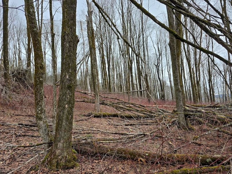 photo_2da06c9e-b97d-42de-a8ad-2ae73ab7985d