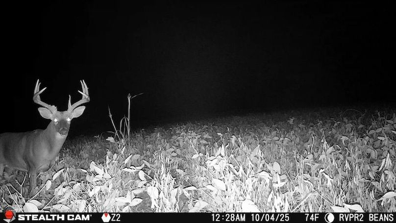 2025100400285901002111_ColorizationType.none