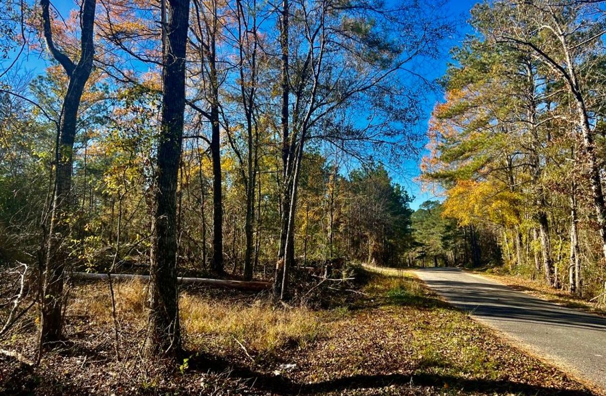 13CA747F-8533-4481-809F-199DDB453E61_1_201_a