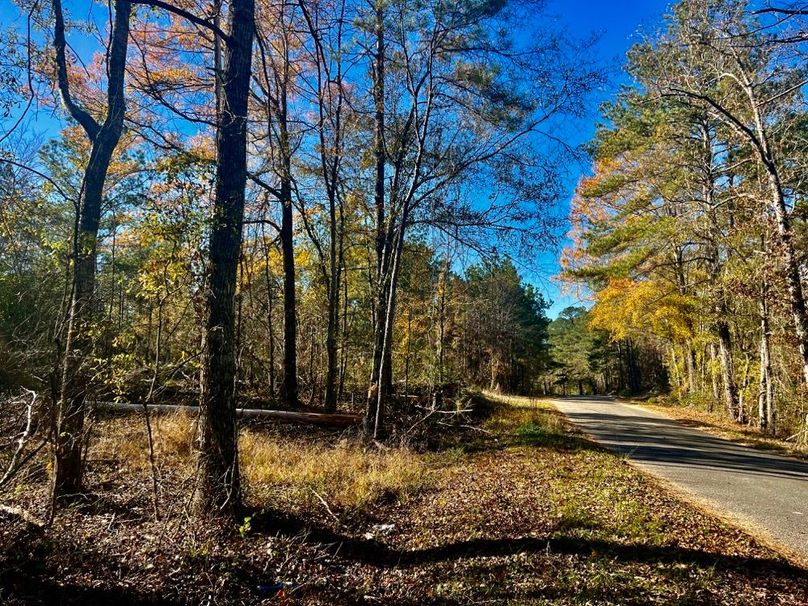 13CA747F-8533-4481-809F-199DDB453E61_1_201_a