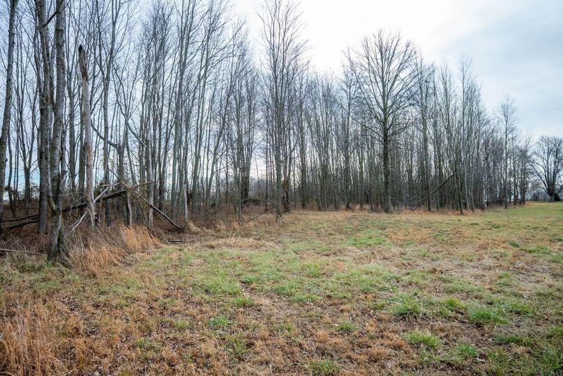 Copy of DSC00751 Large