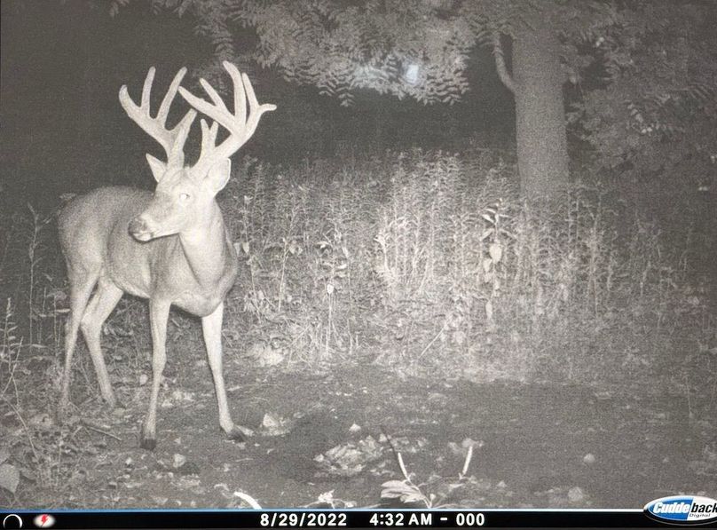 TRAIL CAM 8