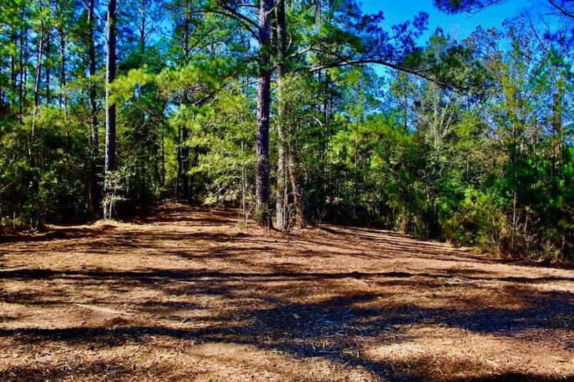 306031FA-1450-4D40-9F7B-966CE7488AA1_1_105_c