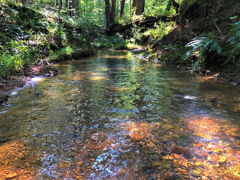 0001 one of several creeks