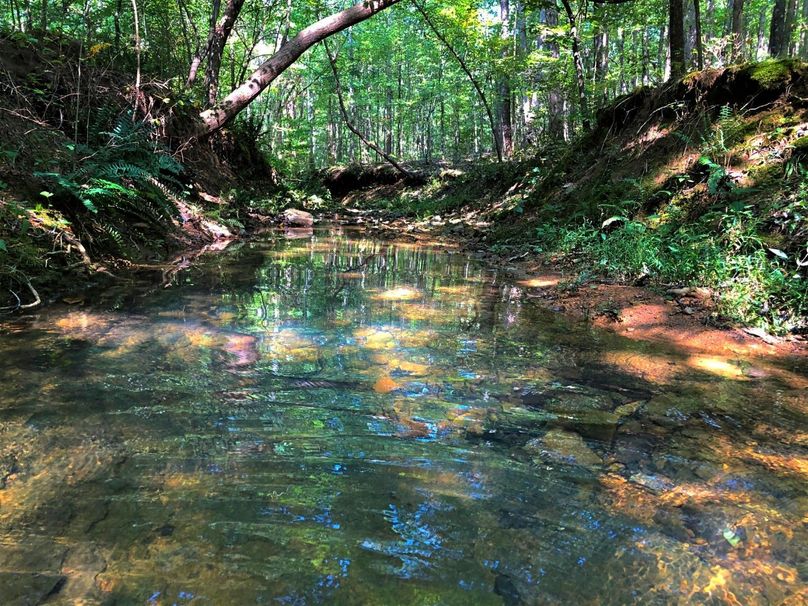 0012 several creeks and springs