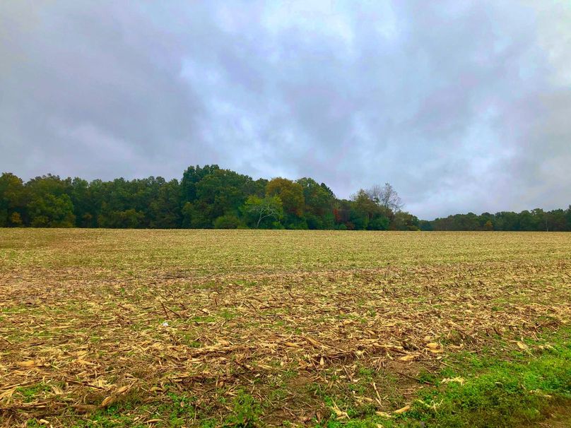 0031 neighboring cornfield