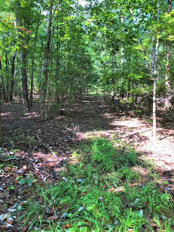 0231 good trail system