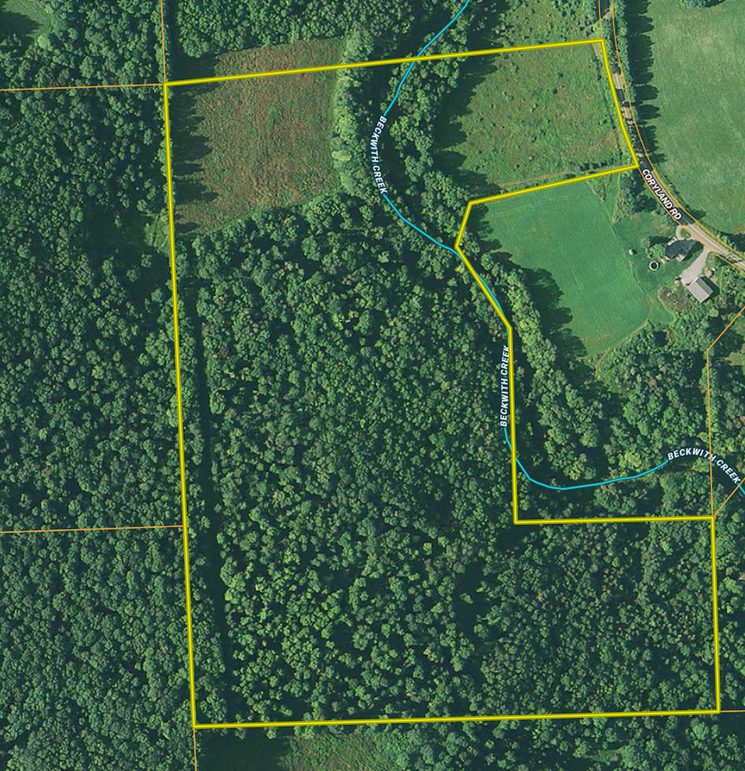 Screen shot 2020-10-11 at 8.26.41 pm