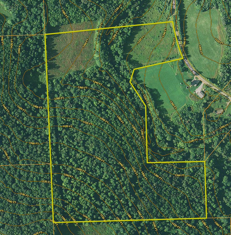 Screen shot 2020-10-11 at 8.26.12 pm