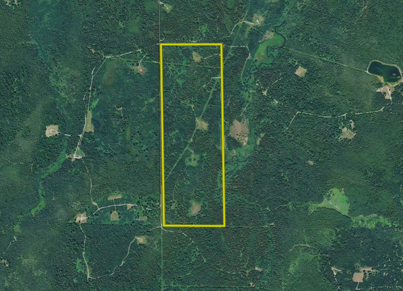 Screen shot 2020-10-16 at 12.54.12 pm