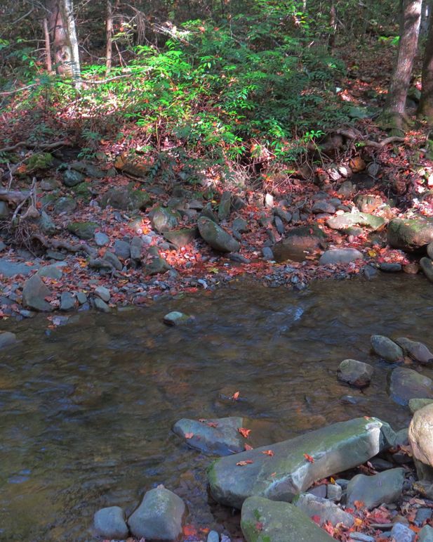 Img 4449 creek in cherokee national forest