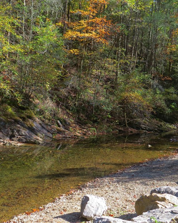Img 4454 clarks creek cherokee ntnl forest