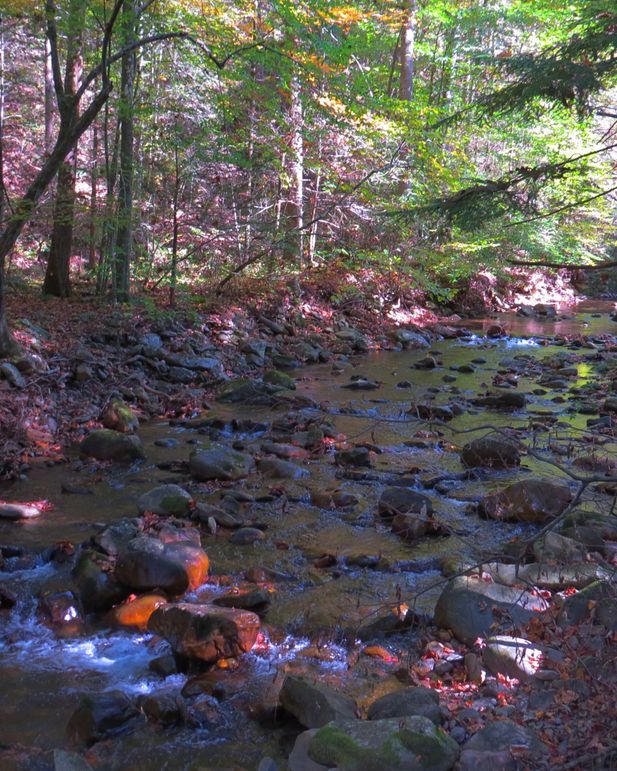 Img 4450 clark creek in cherokee national forest