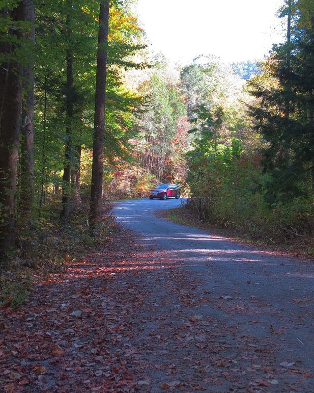 Img 4451 parking in cherokee national forest