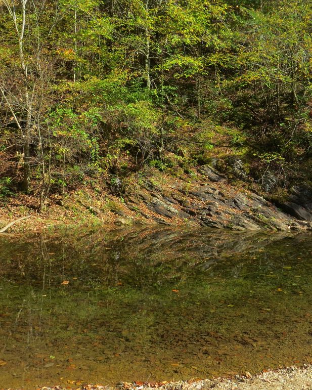 Img 4453 clarks creek in cnf