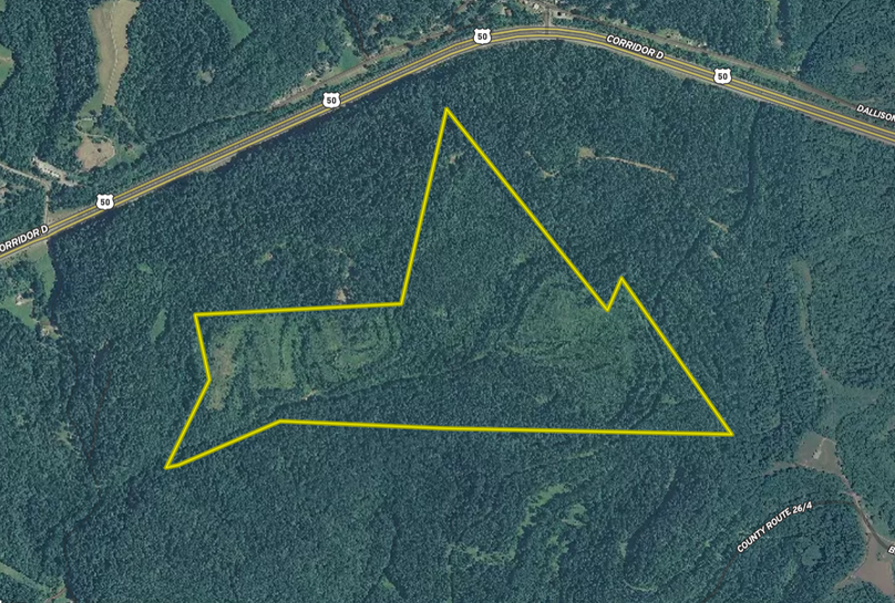 Flg- lincicome- arial close up