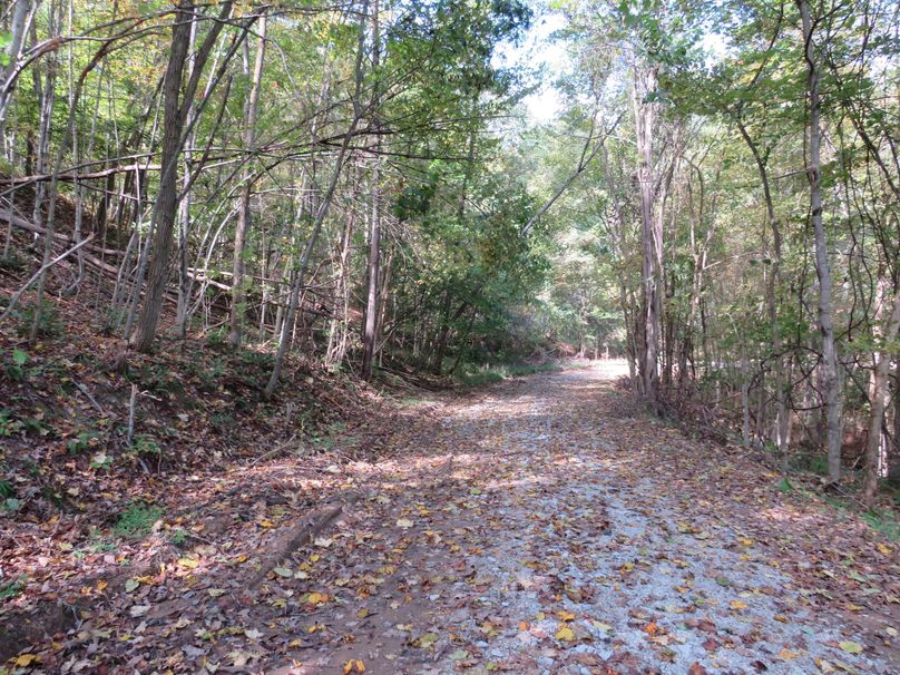 Road on property (3)