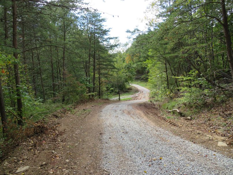 Road on property (4)