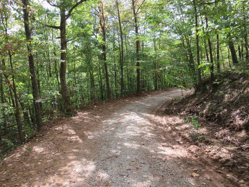 Road on property (5)