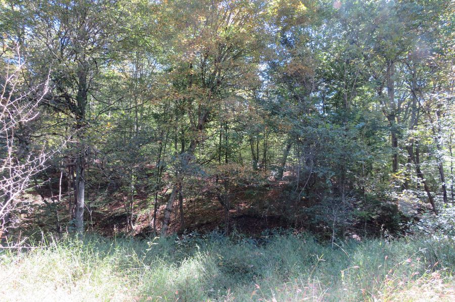 Wooded point (2)