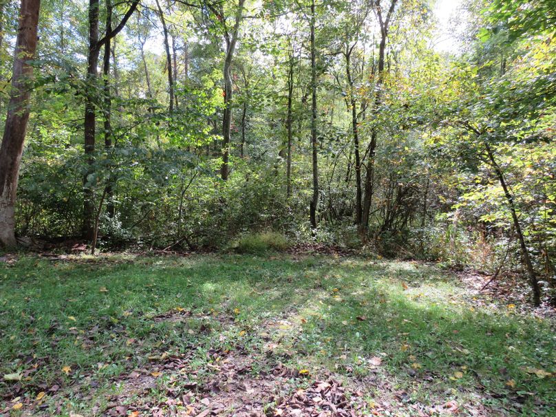 Potential food plot or feeder location