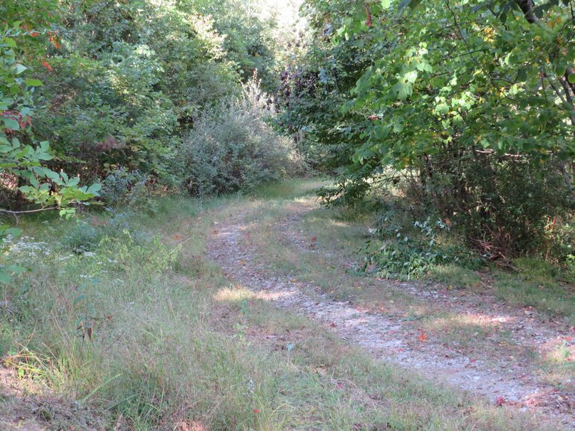 Road on property(1)