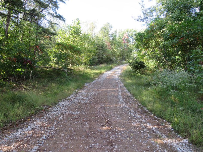 Road on property