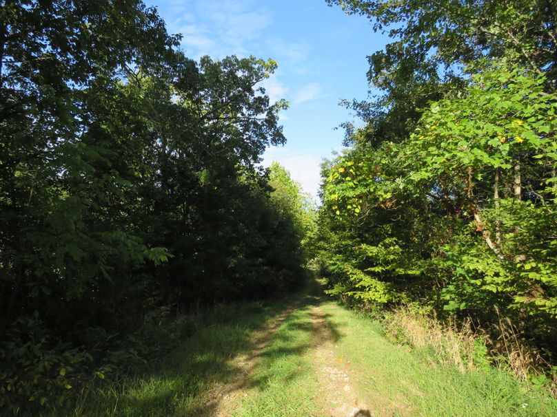 Trail(2)