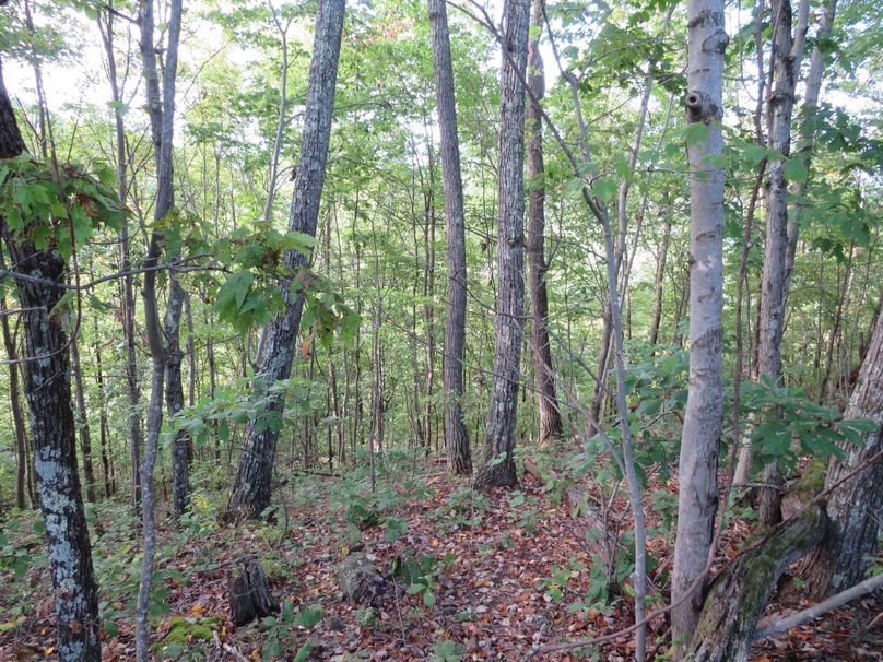 Wooded area(5)