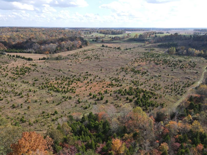 Photo 6553693 dji 93 jpg 7139810 0 20201022151152 photo original