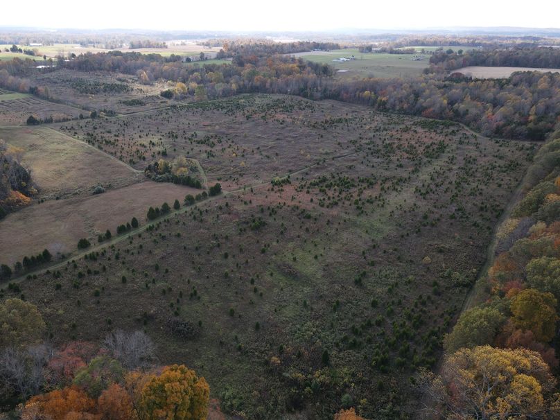 Photo 6553706 dji 106 jpg 6243703 0 20201022152426 photo original