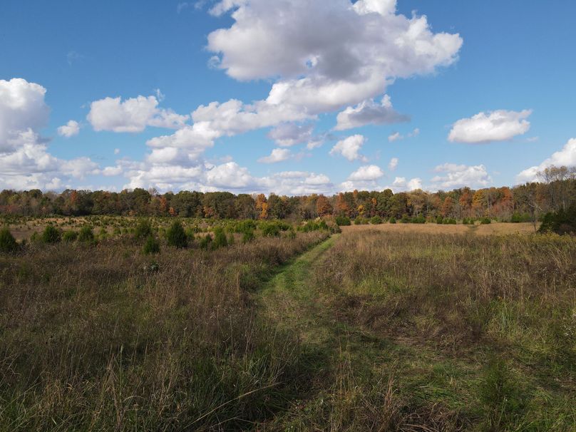 Photo 6553710 dji 110 jpg 6298518 0 2020102215310 photo original