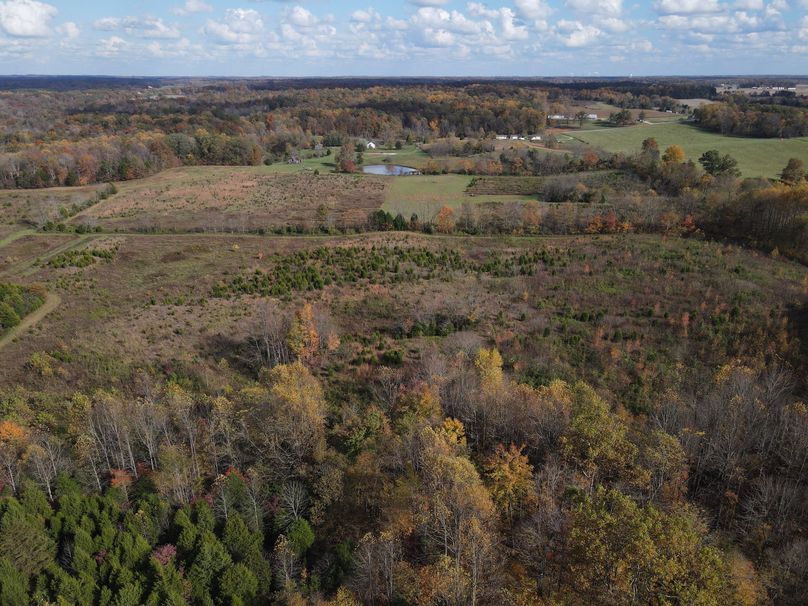 Photo 6553718 dji 118 jpg 7620564 0 20201022154118 photo original