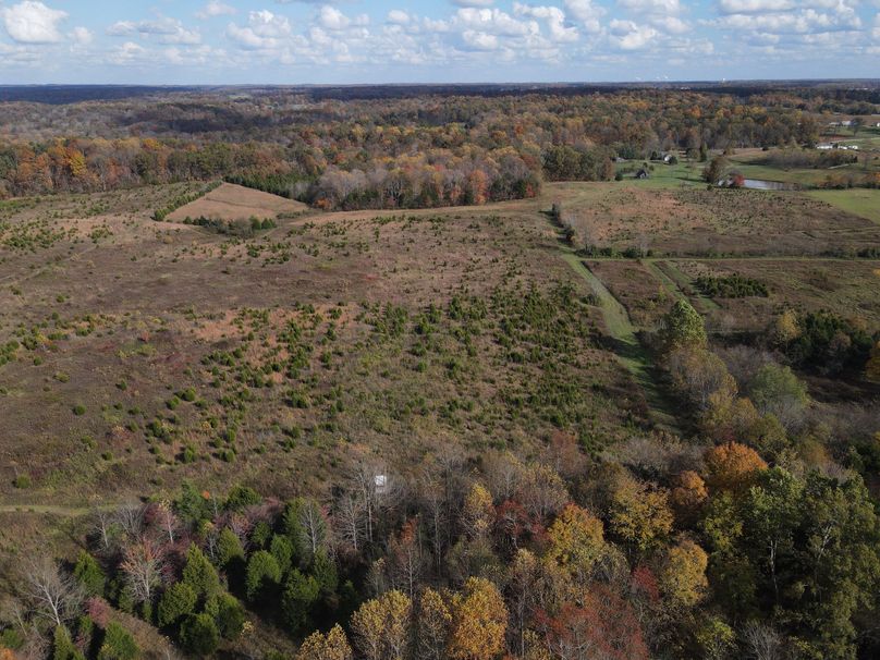 Photo 6553719 dji 119 jpg 7401839 0 20201022154150 photo original