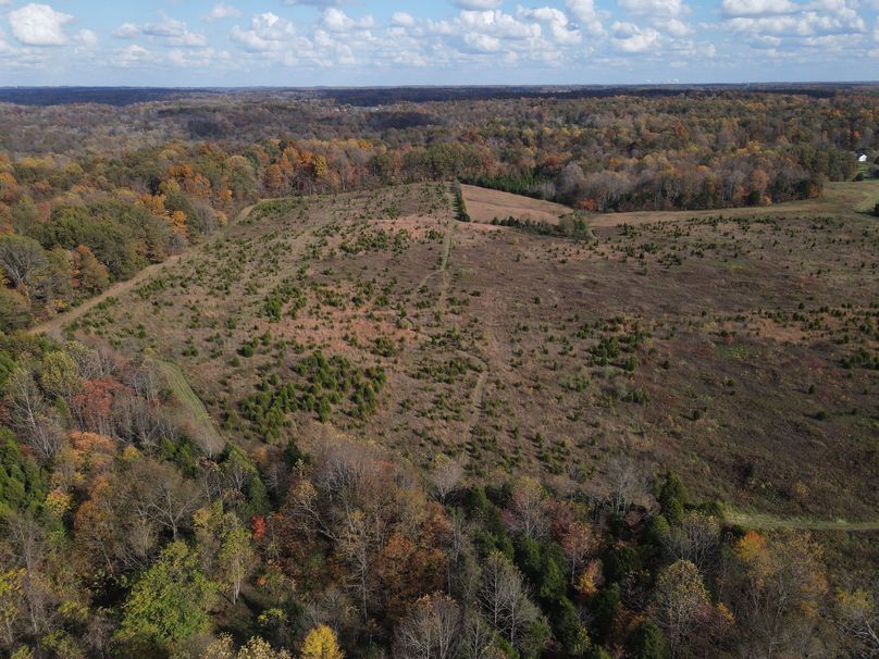 Photo 6553720 dji 120 jpg 7347192 0 20201022154210 photo original