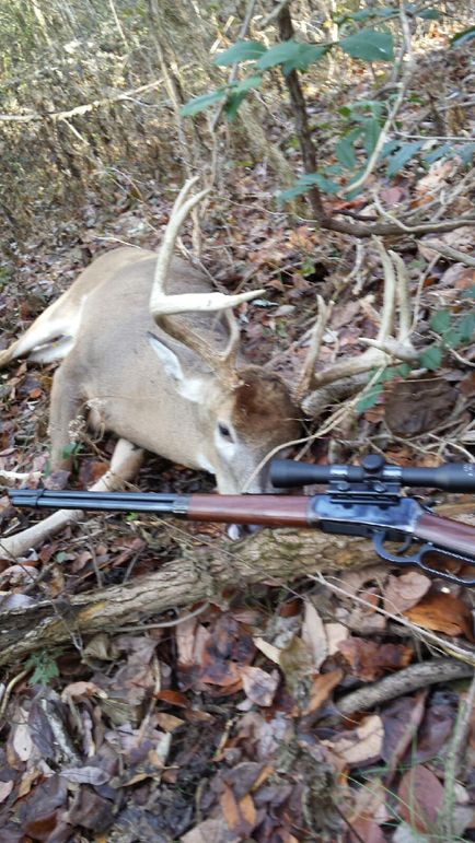 -7849231708594435343