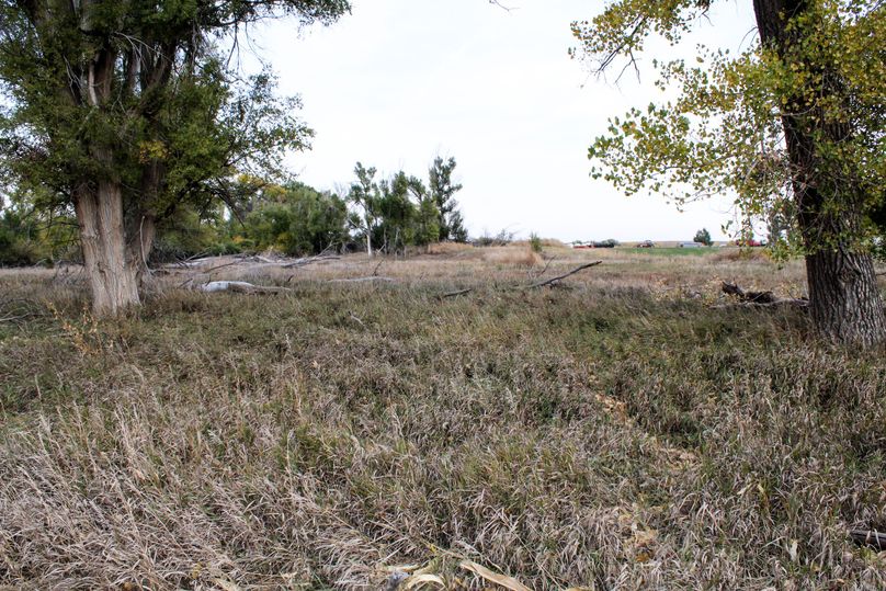 29 west property line