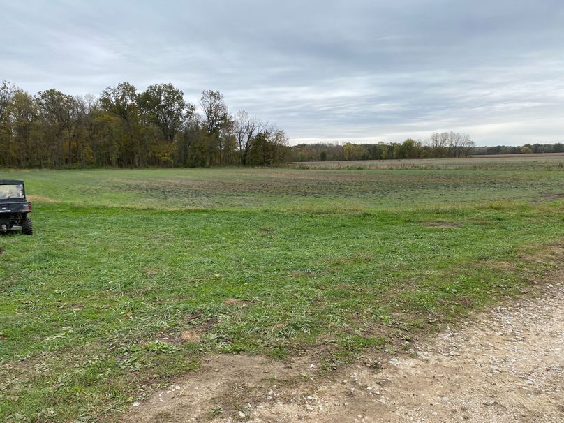 pics from late 2021 and early 2022. New plots being planted in Aug 2023 for new pics (5)