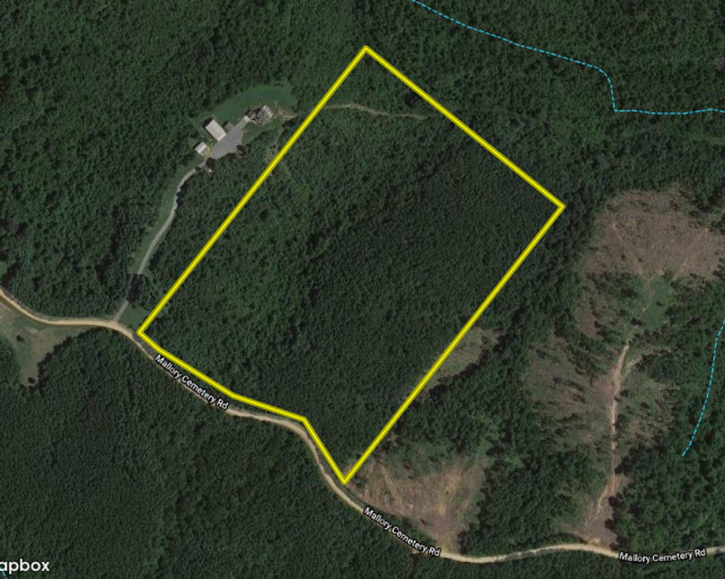 Copy of screen shot 2020-06-23 at 10.22.16 am