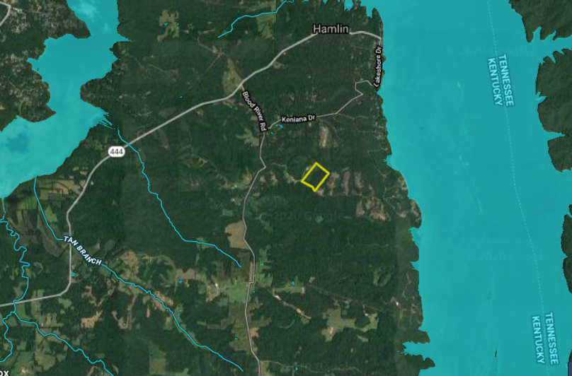 Copy of screen shot 2020-06-23 at 10.22.37 am