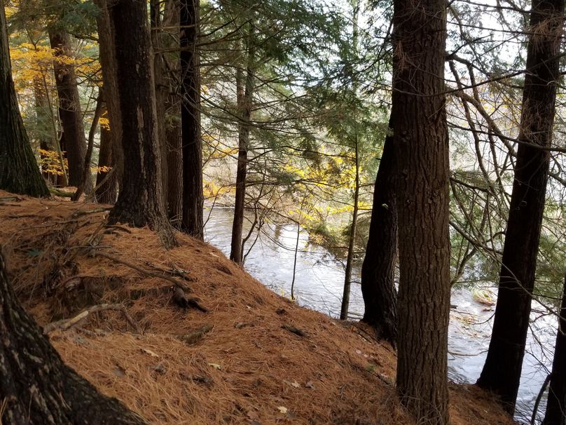 N4  view of the g. creek from one of the trails - sellers favorite spot