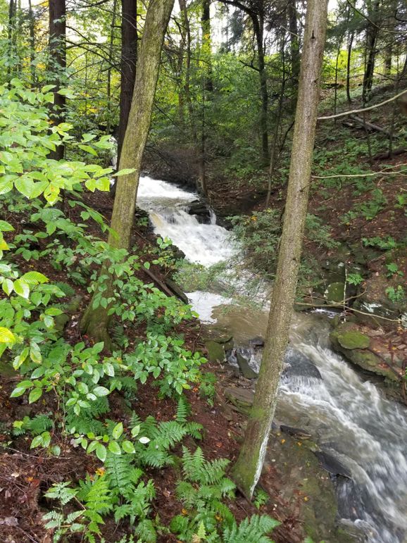 F7 stream runs between house and road