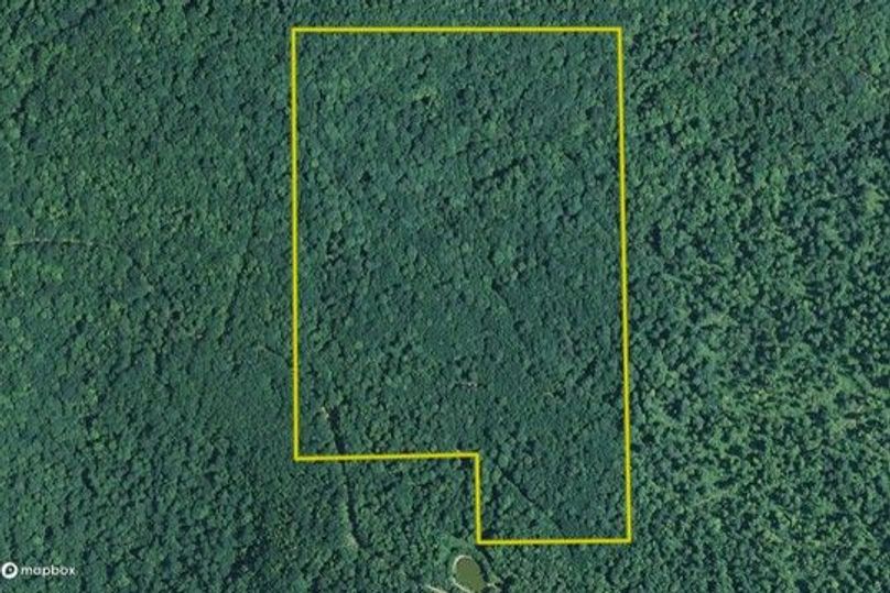 Graham 50 allegany maprite close