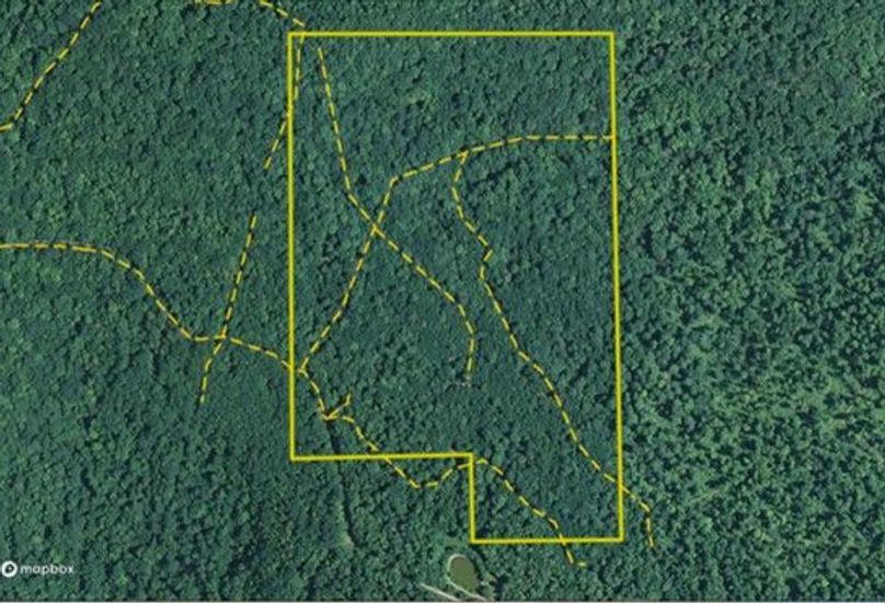 Graham 50 allegany maprite trails