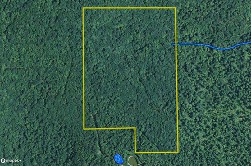 Graham 50 allegany maprite water   wetlands