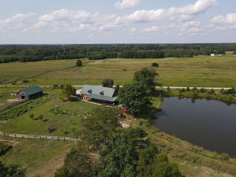 6401c13e7b31121806ff980ff09d44bd